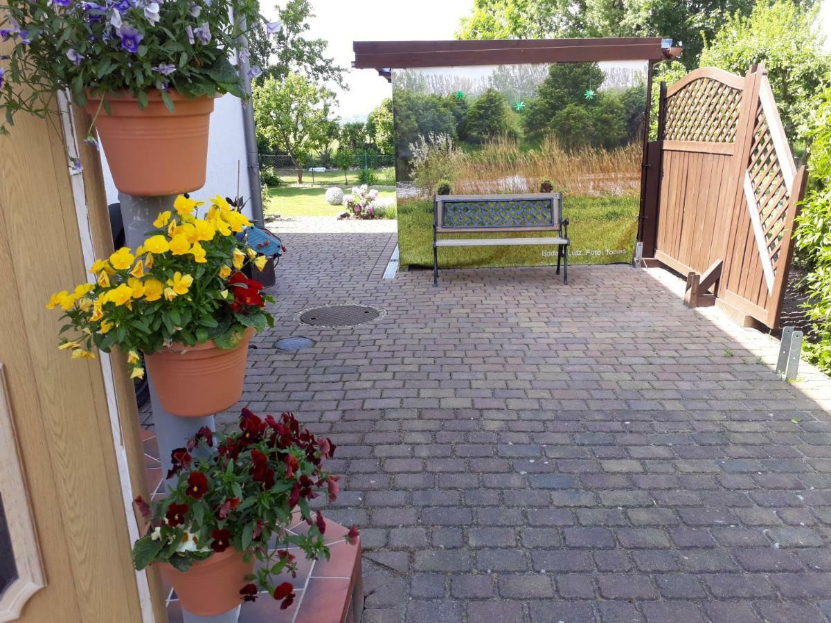 Ostseeferien In Lichtenhagen-Dorf Ferienwohnung Elmenhorst/Lichtenhagen Luaran gambar